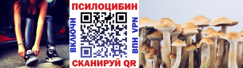 продажа наркотиков  Брянск  Галлюциногенные грибы GOLDEN TEACHER 